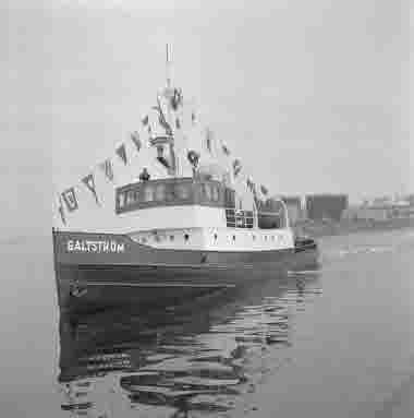 Galtström med timmer under Alnöbron juli 1964