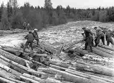 Brötbildning i Granån, lossning av bröten 1950. Flottning
