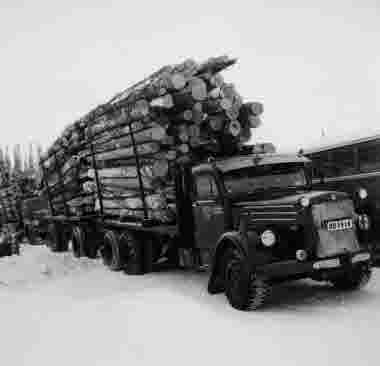 Lastbilstransport från SCAs avverkning i Pjesker, Piteå. Scania Vabis lastbil med 2 axliga släpvagnar, mars 1950. Lasstorlek py (?) fora 1200 F3.