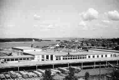 Sågverket 1950. Holmsunds sågverk