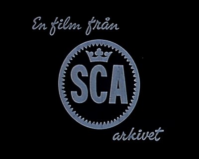 Karlsviks sågverk var i drift 1882-1963. Filmen är 20 min och berättar historien om sågverket