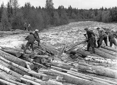 Brötbildning i Granån, lossning av bröten 1950. Flottning
