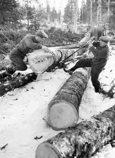 Timmerkörning med häst och skogsarbete, lastning, brossling, 1948. Skogsteknik (avverkning, maskiner, transporter mm)