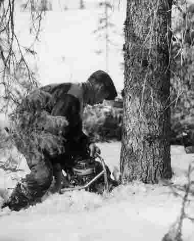 Avverkning med motorsåg i Habborn, Kramfors, en vinter på 1950-talet.