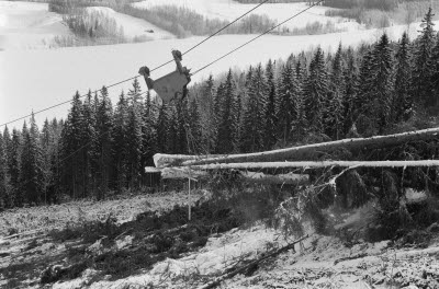 Lunning med vinsch i brant terräng vid Indalsälven i Nilsböle, februari 1982. Skogsteknik (avverkning, maskiner, transporter mm)