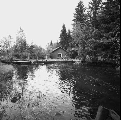 Kvarnen vid Galtströms 1962. Galtströms järnbruk och såg var i drift 1672-1917