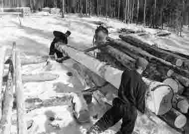 Timmerkörning med häst, brossling 1948. Skogsteknik (avverkning, maskiner, transporter mm)