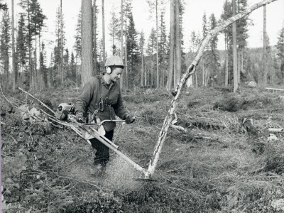Röjare, Tora Eriksson Mäljsjöbodarna, Haverö, 1975. Skogsteknik (avverkning, maskiner, transporter mm). Skogsvård (plantskolor, gödsling mm)